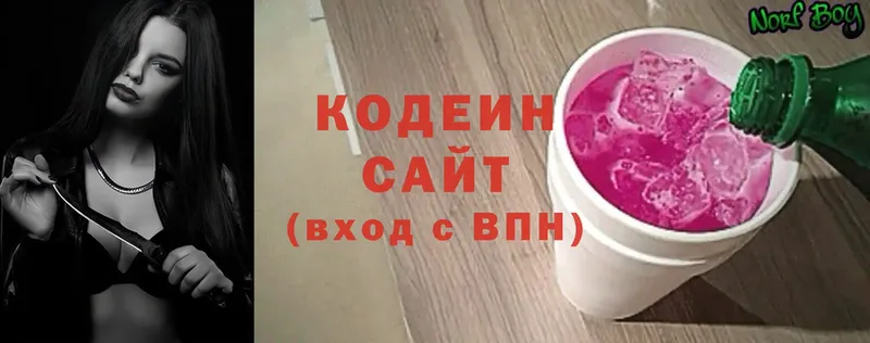 MEGA онион  Злынка  Codein Purple Drank  купить  цена 